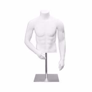 Picture for category Countertop Torso Forms