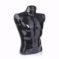 Countertop Male Torso