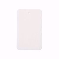 Large White Blank Tags - No String