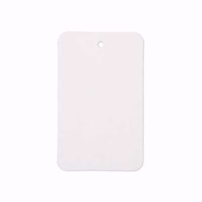 Large White Blank Tags - No String