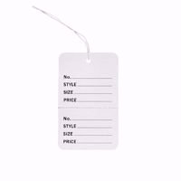 Small Perforated Tags with String