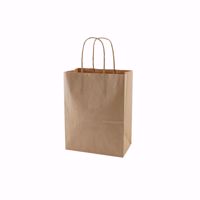 Plain Kraft Paper Shopping Bags (Small) 