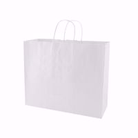 Plain White Paper Shopping Bags (medium)
