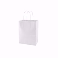 Plain White Paper Shopping Bags (small)
